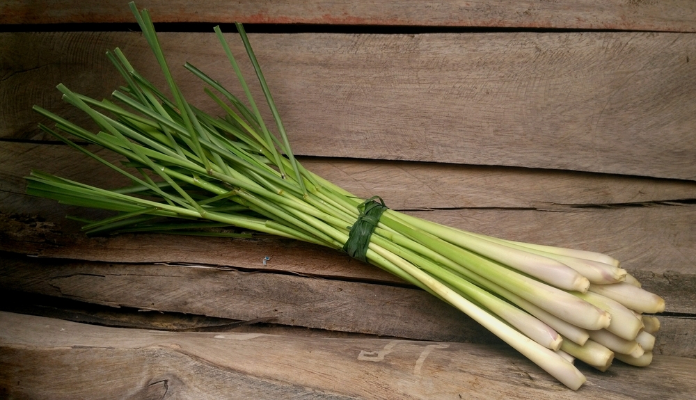 8 Surprising Health Benefits of Lemongrass