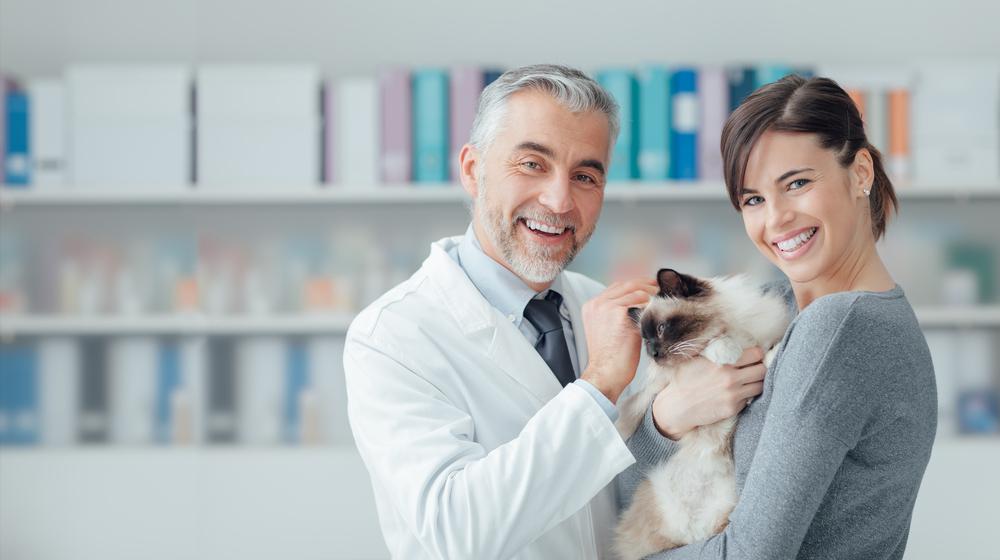 Top 6 Vet-Prescribed Medications for Pets